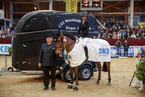 Zucht Und Sport In Schleswig Holstein Und Hamburg Holsteiner Zucht Artikel Pferd Sport