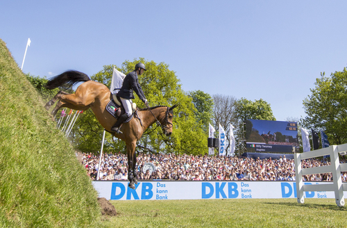 Zucht Und Sport In Schleswig Holstein Und Hamburg Holsteiner Zucht Artikel Pferd Sport