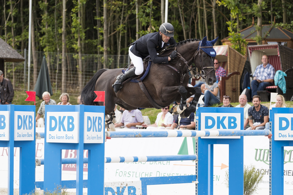 Pferd Sport Zucht Und Sport In Schleswig Holstein Und Hamburg Holsteiner Zucht Artikel