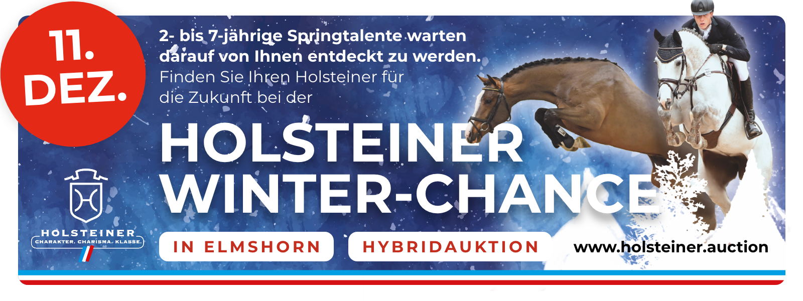 Holsteiner Winter-Chance