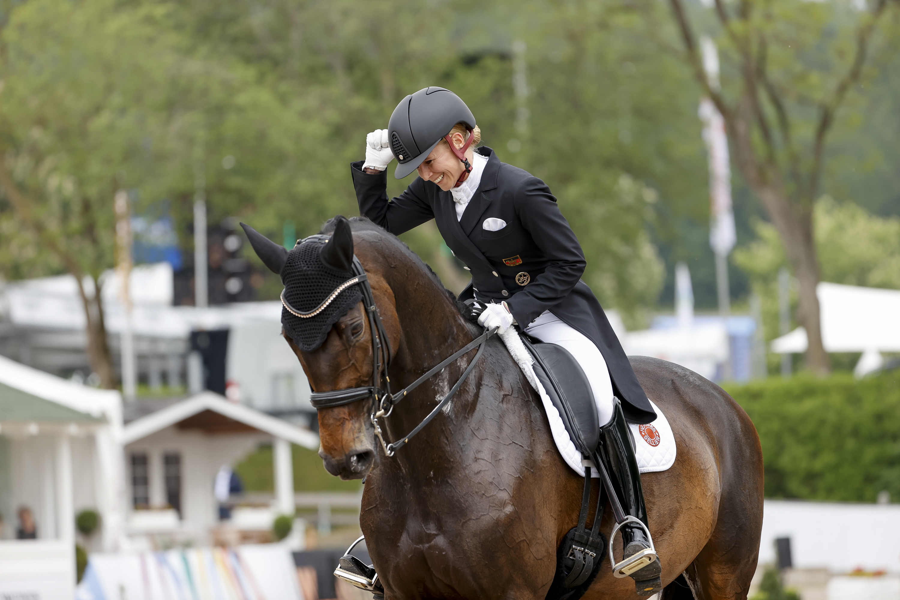 Pferd Sport Zucht Und Sport In Schleswig Holstein Und Hamburg Holsteiner Zucht Artikel