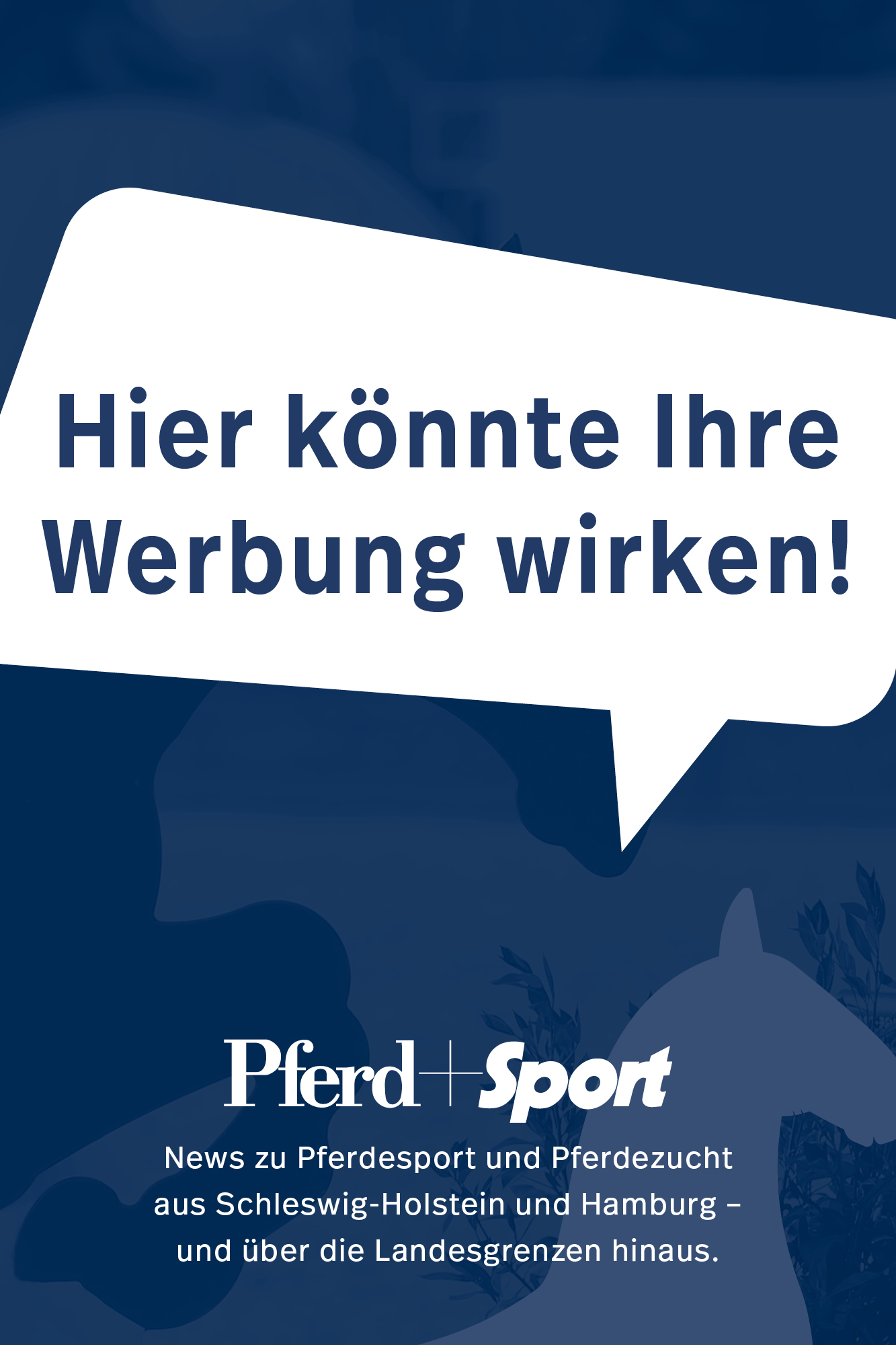 Pferd+Sport Zucht und Sport in Schleswig-Holstein und Hamburg, Holsteiner Zucht